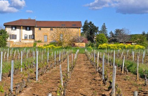 Saint-Germain-Nuelles Cama Y Desayuno | Le Clos du Cher en Beaujolais