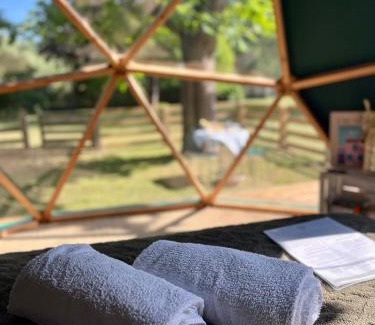 Moisson Otro | Le dôme en seine, proche Giverny