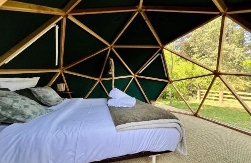 Moisson Otro | Le dôme en seine, proche Giverny