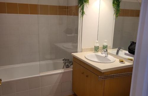Aulus-les-Bains Apartamento | "Le Desman" Confortable T2 à la montagne face aux thermes RANDO, CURE
