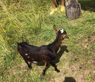 Lachambre Casa | Le Domaine des Prés