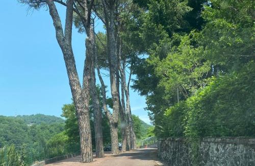 Aulla Apartamento | Le Foglie di Lubo