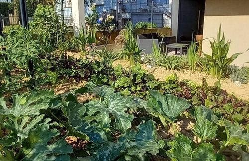 Wingersheim Apartamento | Le jardin de Clémentine, a cosy, quiet apartment