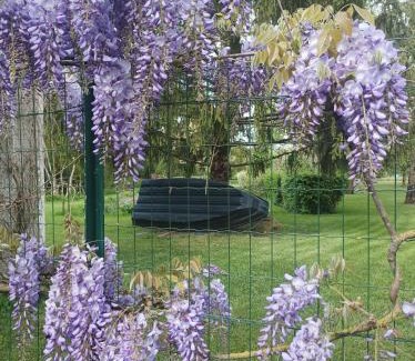 Saint-Hilaire-la-Palud Apartamento | Le logis de LANGE apt Les Aigrettes