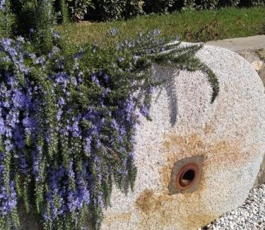 Lastra a Signa Casa | Le Macine di San Salvadore