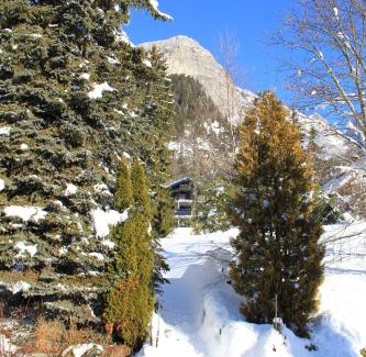 Plateau-d'Assy Apartamento | Le Manoir d Ernesta