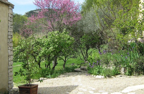 Saint-Christol-Les-Ales Apartamento | Le Mas Perdu : Gîte studio parme
