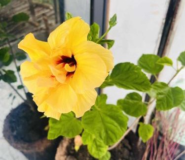 Antalaha Villa | Le megève