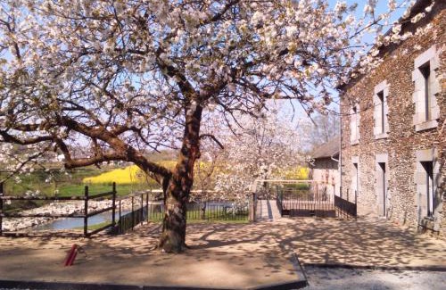 Saint-Aubin-des-Landes Cama Y Desayuno | Le Moulin De Bretigneul