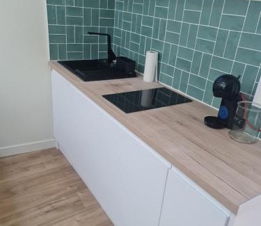 Roche-la-Moliere Apartamento | Le Petit Roche