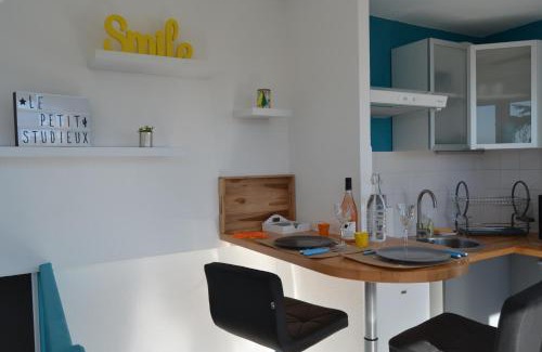 Albi Apartamento | Le petit studieux - Parking - Animaux acceptés - Centre ville accessible à pied