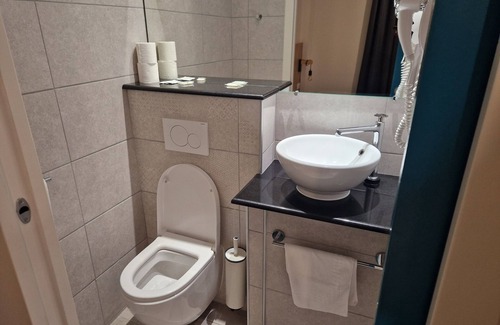 Limoges Cama Y Desayuno | Le Phenix Hotel Limoge