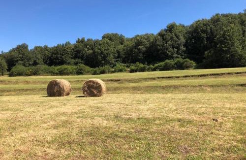 San Pietro Vara Villa | Le Pianelle