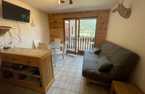 Saint-Jean-dʼAulps Apartamento | Le Pied des Pistes A13, Joli Studio tout confort 4 pers, vue vallée imprenable, DRAPS NON COMPRIS