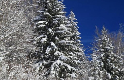Saint-Laurent-en-Grandvaux Chalet De Esquí | le refuge des Marmottes