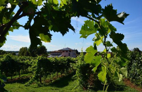 Monteveglio Casa | Le Stanze di Bacco