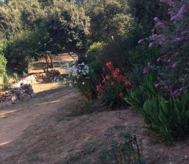 Porto-Vecchio Apartamento | Le studio