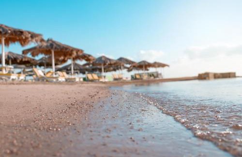 Makadi Bay Complejo | Lemon & Soul Makadi Garden