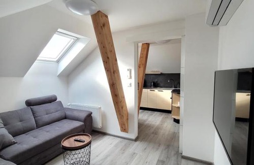 Luhacovice Apartamento | Lepší-apartmán