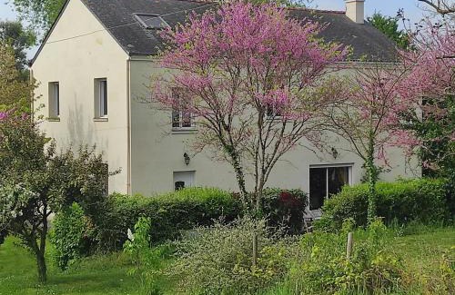 Saumur Cama Y Desayuno | Les 2 Chênes