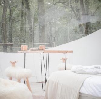 Salleboeuf Cama Y Desayuno | Les Bulles De Bordeaux