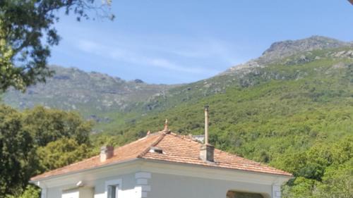 Pietracorbara Apartamento | " les chênes "