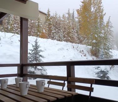 Puy-Saint-Vincent Apartamento | les chalets de puy st vincent