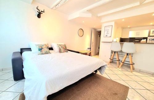 Saint-Pierre - Rene II - Bonsecours Apartamento | Les Cosy de Nancy - Le repère du roi stanislas 4étoiles