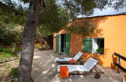 Olmeta di Capocorso Apartamento | Les Gîtes du Cap Corse