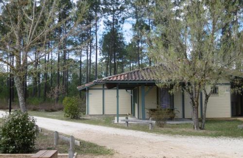 Brocas Casa | Les genets