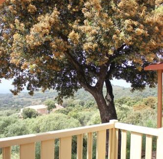 Cargese Chalet De Esquí | Les Hauts de Torraccia