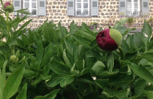 Saint-Ilpize Cama Y Desayuno | Les Jardins d'Anna - Chambres d'hôtes