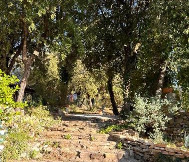 Tourves Casa | Les jardins d'Isa