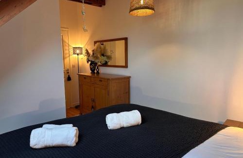 Lanvallay Apartamento | Les Libellules Appartement avec baignoire spa à Lanvallay