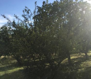 Morville Apartamento | Les mirabelles