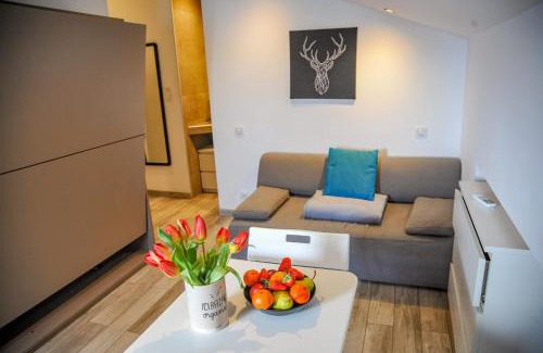 Ajaccio Apartamento | Les Studios du Pêcheur - Hypercentre - Clim - City Trip