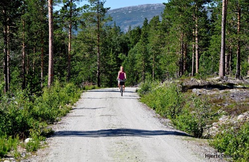 Lesja Otro | Lesjaskogsvatnet Camping
