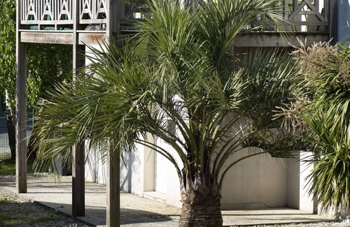 Aytre Apartamento | Less than 100 m from the sea, near La Rochelle: pretty T2 with private garden