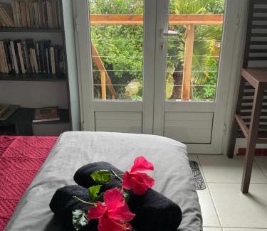 Piton Saint-Leu Casa | Lhibiscus rouge