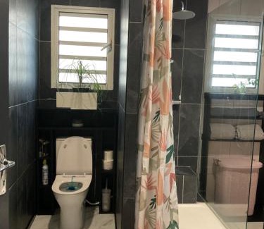 Piton Saint-Leu Casa | Lhibiscus rouge