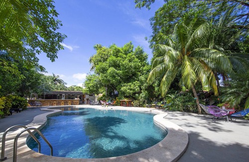 Potrero Hotel | Libelula Lounge & Lodgings