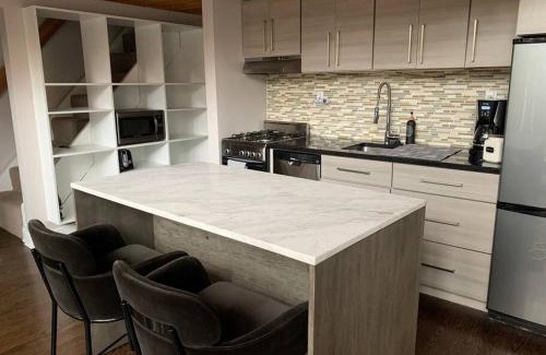 Sheffield Neighbors Apartamento | Lincoln Park Light-Filled Loft