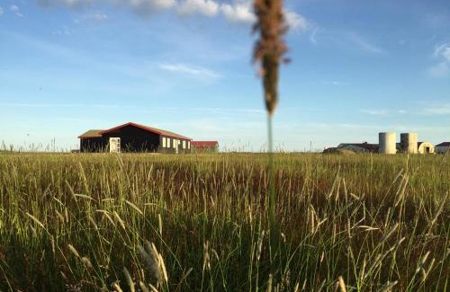 Hvolsvollur Casa | Lindartún Guesthouse