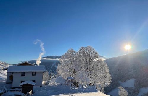 Sankt Johann im Pongau Apartamento | Lindbichlhof Urlaub am Bio Bauernhof