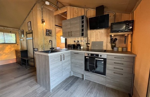 Tenby Alquiler De RV | Lion King Safari Tent