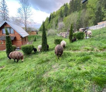 Snidavka Casa | Lisowa Hatka Yavoriv