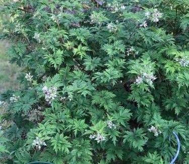 Varmdo Casa | Litet modernt fristående hus i Skärgården på Värmdö, Stockholm