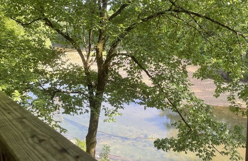Olivehill Cabina | Little Bears Cozy Creekside Cabin at Up The Creek