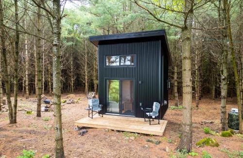 Chatsworth Casa | Little Cabin in the Pines