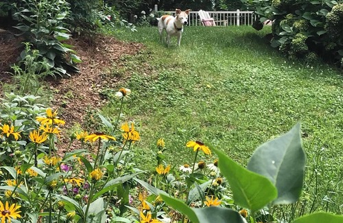 Lynn Casa | LITTLE CAMP BUNGALOW